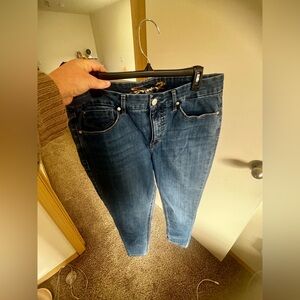 Classic Blue Skinny Jeans for Women